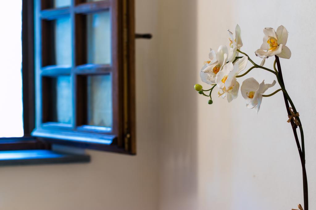 Casa Marta Villa Pescaglia Dış mekan fotoğraf