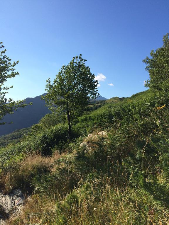 Casa Marta Villa Pescaglia Dış mekan fotoğraf