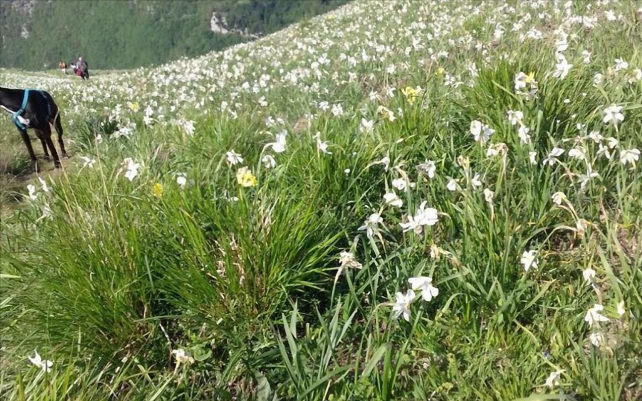 Casa Marta Villa Pescaglia Dış mekan fotoğraf