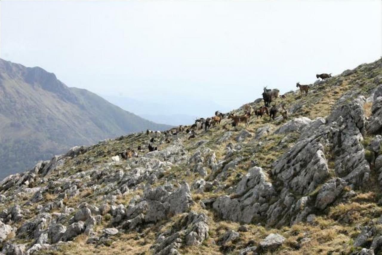 Casa Marta Villa Pescaglia Dış mekan fotoğraf