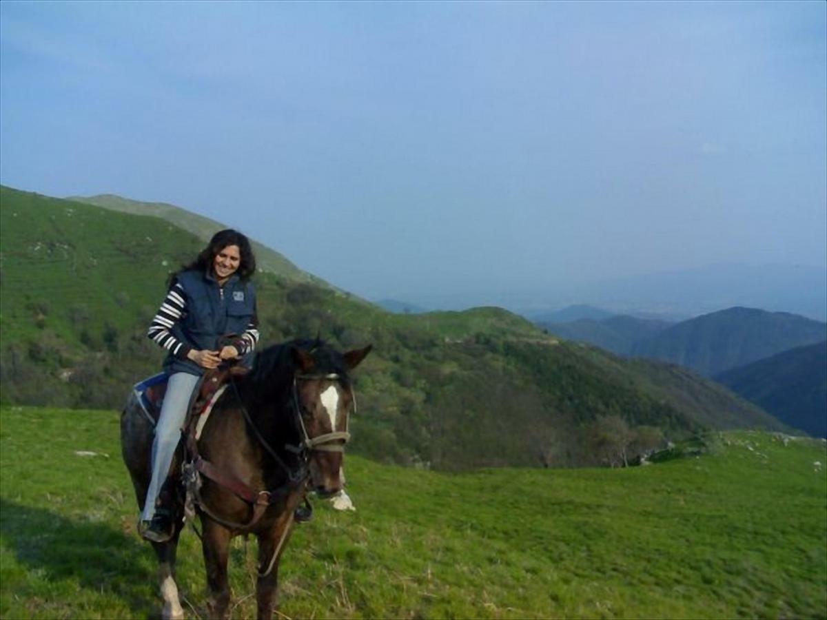 Casa Marta Villa Pescaglia Dış mekan fotoğraf