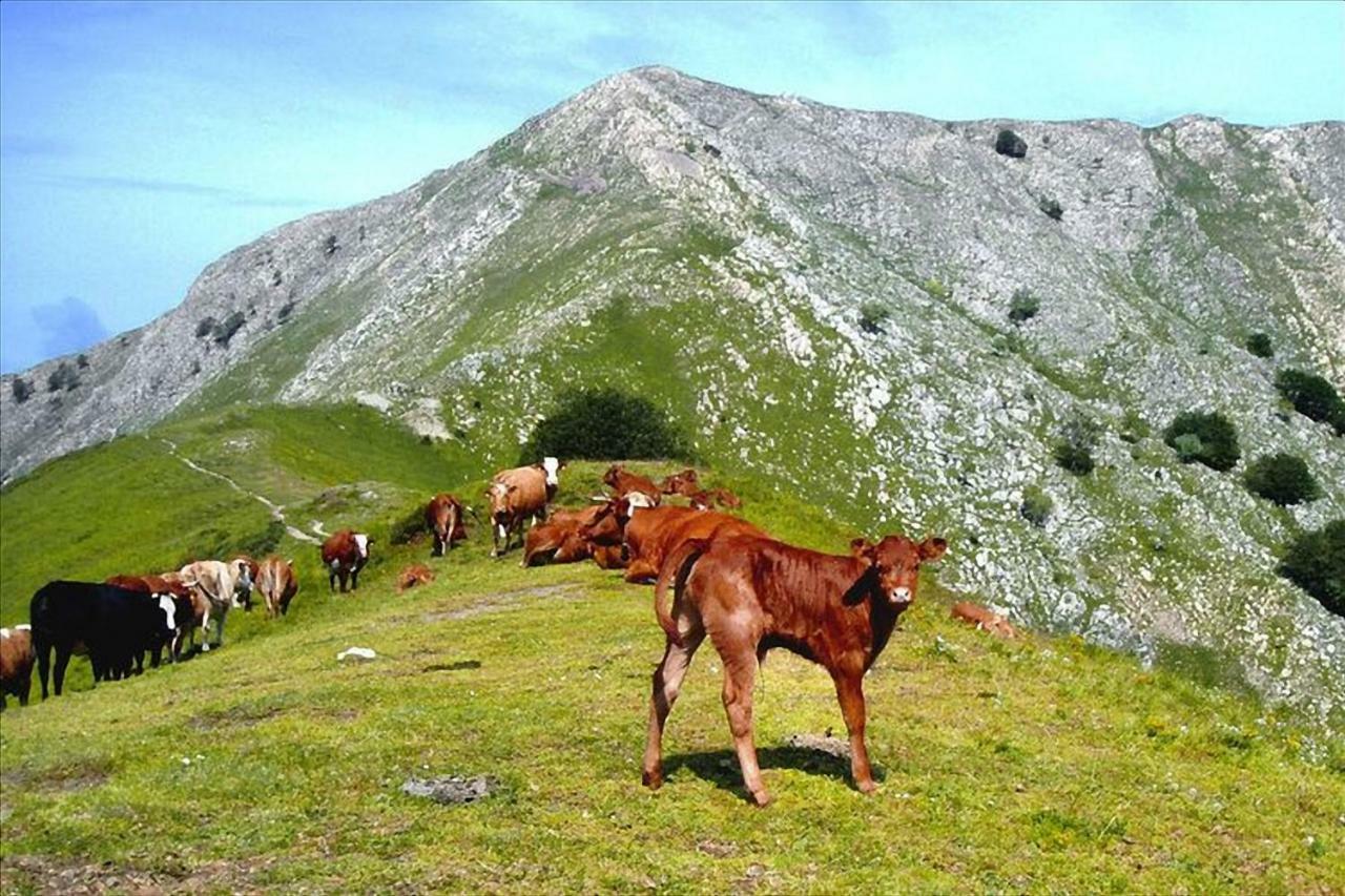 Casa Marta Villa Pescaglia Dış mekan fotoğraf